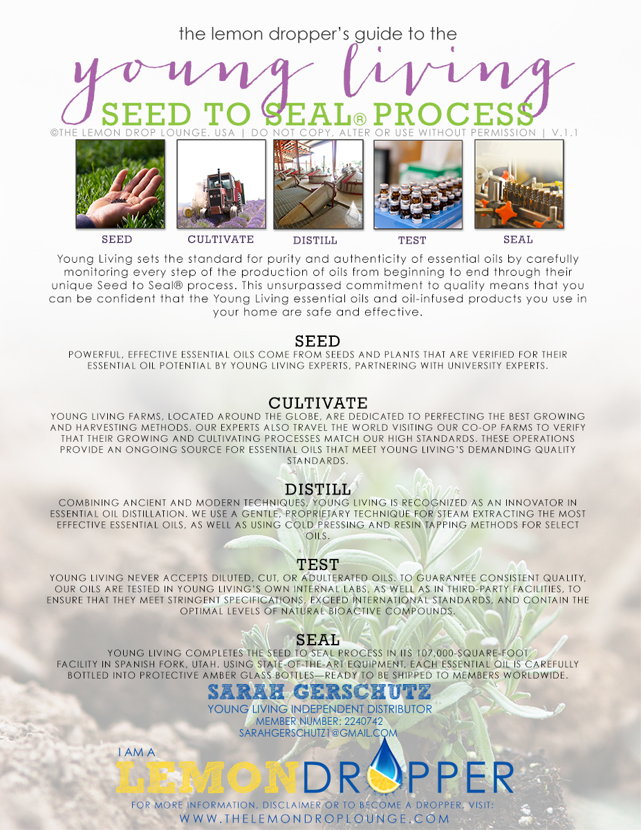 Seed to Seal Process Flyer
